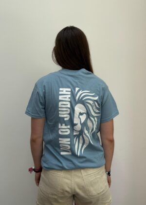 Lion Stone Blue